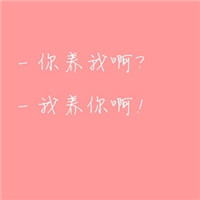 雪球喵喵