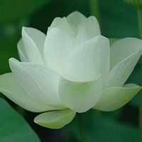 水晶花园