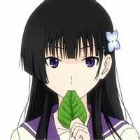 打金枝梦