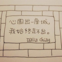 雪花片收集者