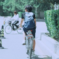 懒懒龟