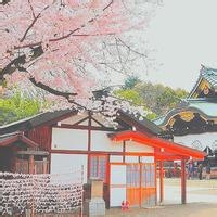 碎叶城
