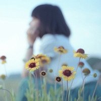 蜂蜜小熊熊