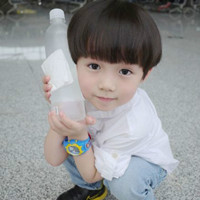 林间游侠