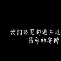 齿轮