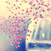 代码炼药师
