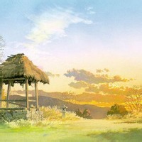 青丝绾君心