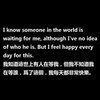 风华正茂