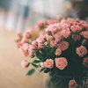 黄芪散