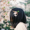 火焰程序员