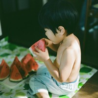 朱雀羽