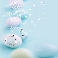 诗囊满