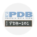 PDB蛋白质结构