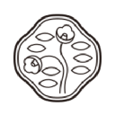 Shiseido加拿大