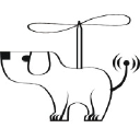 Flying Dog