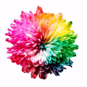 COLOURlovers