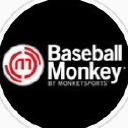 Baseball Monkey