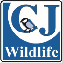 BirdFood.co.uk