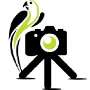 Camera Jungle